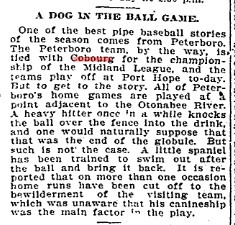 1905-09-23 Baseball -Dog retrieves game ball from water in Ptbo