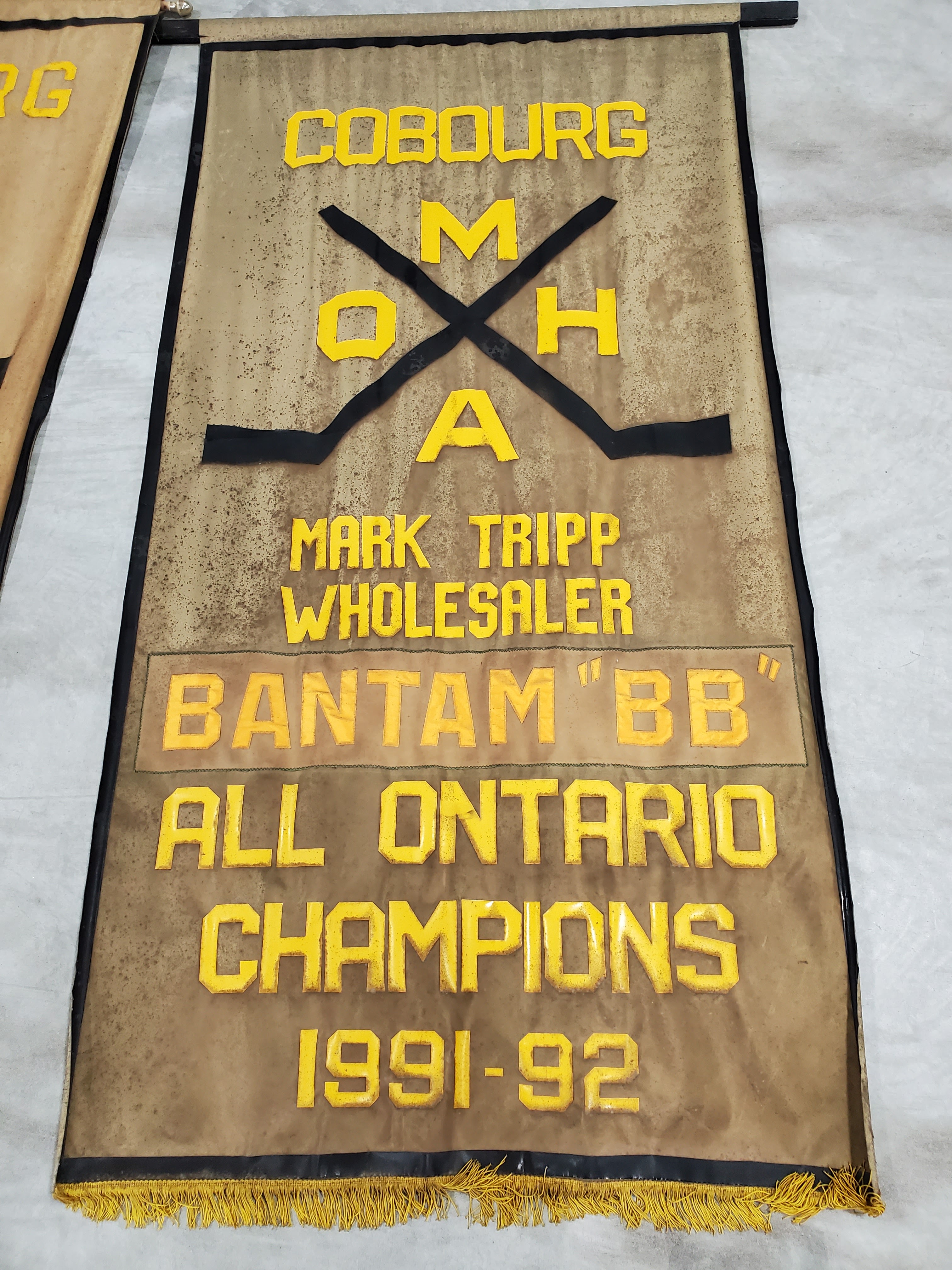 Banners-OMHA-18