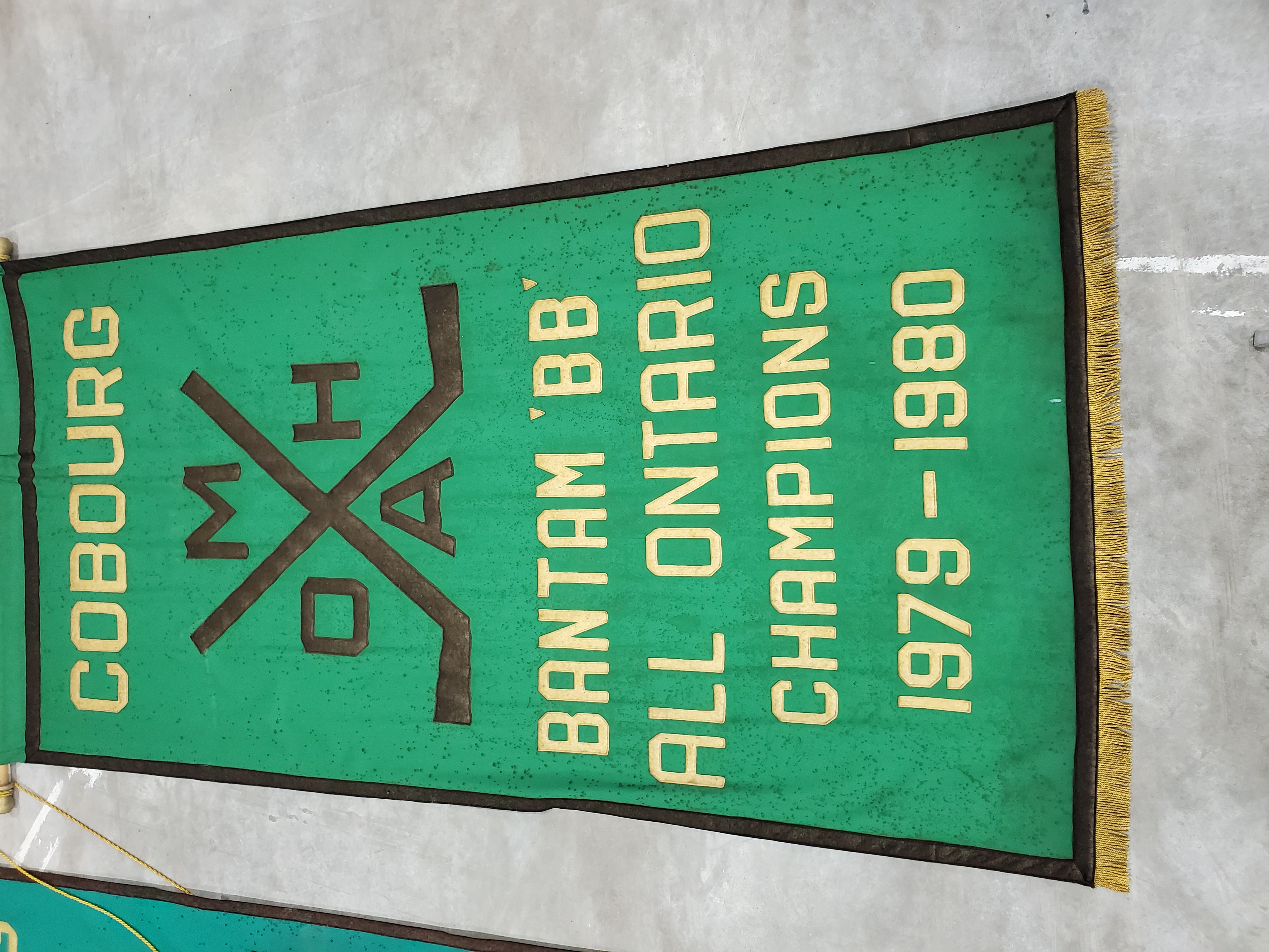Banners-OMHA-30