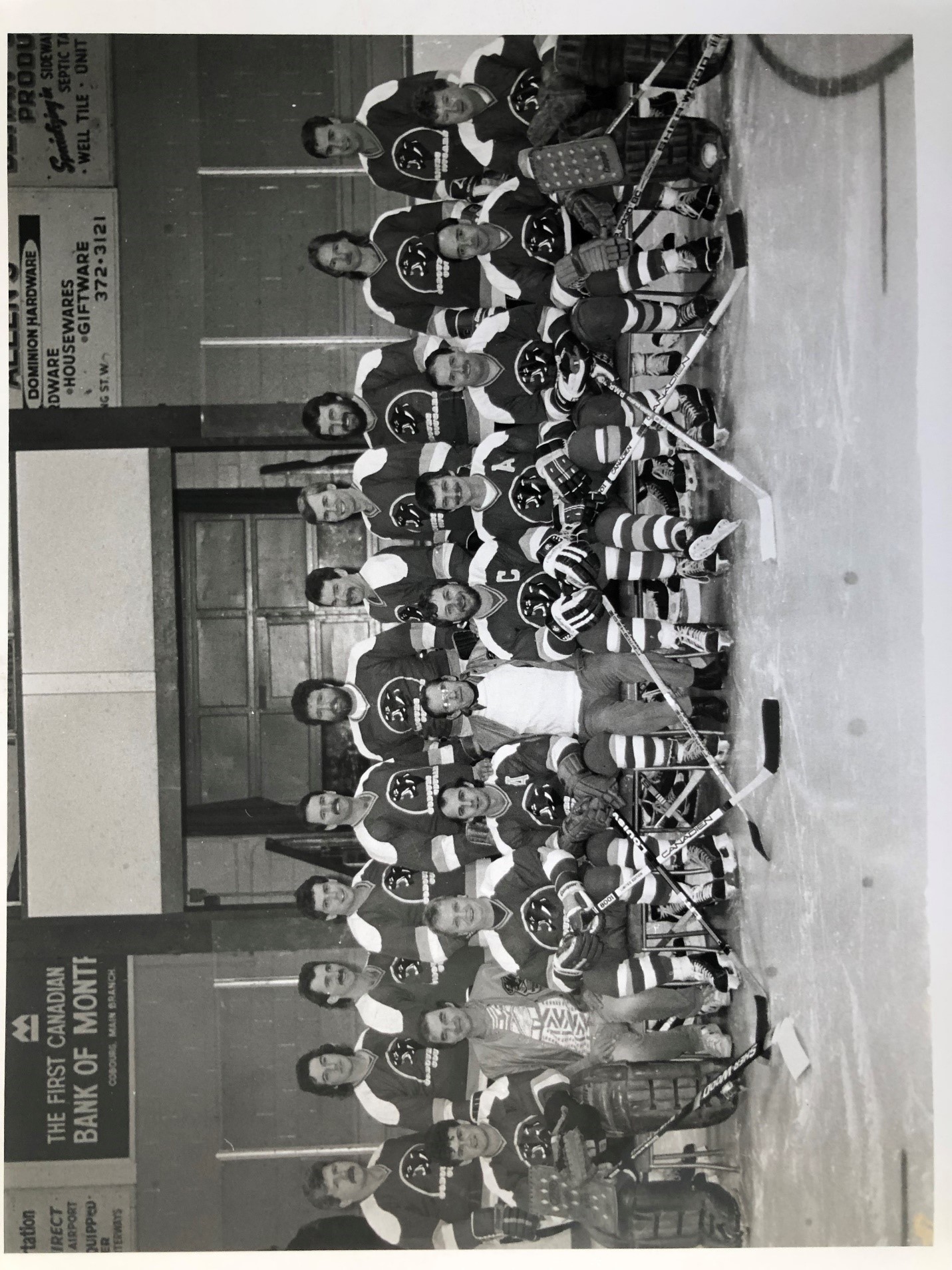 TL036-Cougar Reunion game