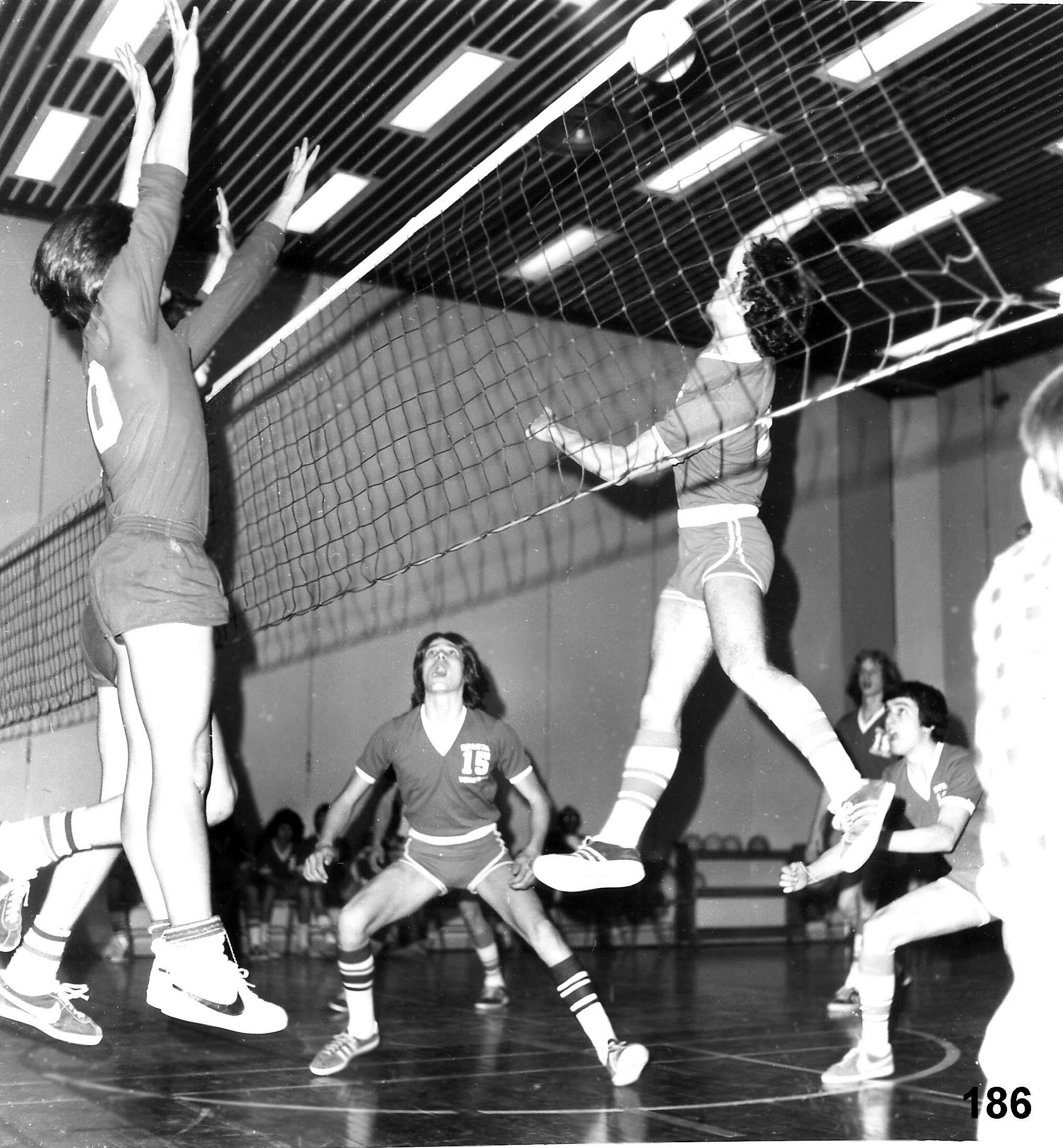 No. 186 volleyball