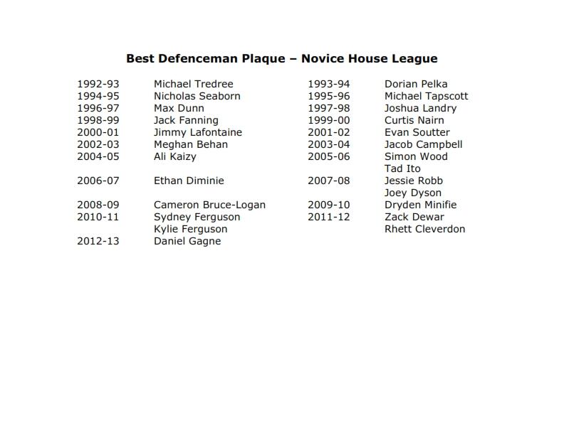 T&P-15a Best Defenceman Plaque – Novice House League