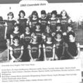 1965 Coverdale Aces Women's Fastball Team Photos 1965 Coverdale Aces Women's Fastball Team Photos