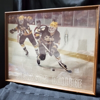 1981-82 Gord Sharpe action photo playing for Clarkson University
