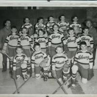 1961 CCHL PeeWee All Stars hockey team photo