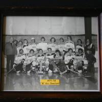 1978 Lakers League Hockey team Champions photo
