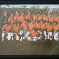 1980 Cold Springs Cats Mens Fastball Team photo