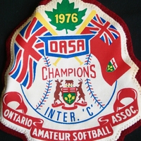 1976 Cold Springs Cats champions crest