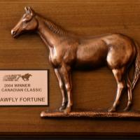 2004 Don Ito plaque Strawfly Fortune horse wins