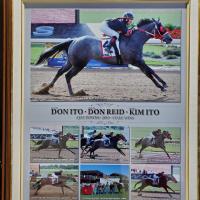 Don Ito 7 photos of 3 winning quarter horses 2010