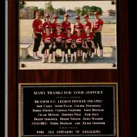 1988 Cobourg Legion Baseball wall plaque PeeWees