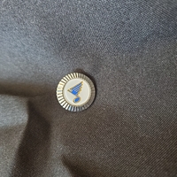Gord Brooks St Louis lapel pin