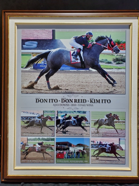 Don Ito 7 photos of 3 winning quarter horses 2010