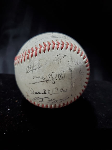 1993 Baseball signed by World Champ Blue Jays