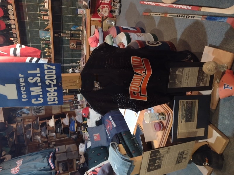 DW020- Fastpitch display