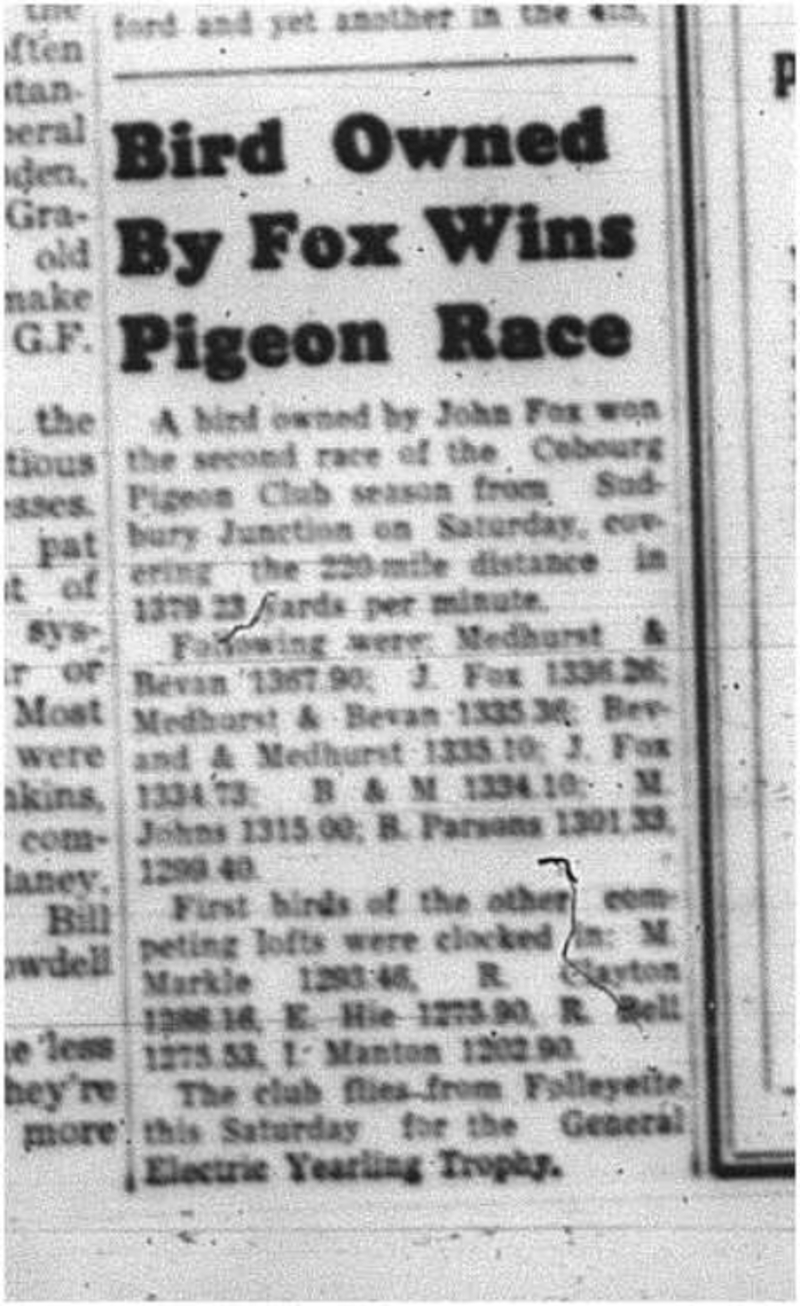 1964-05-27 Pigeon Racing - John Fox - Cobourg Pigeon Club