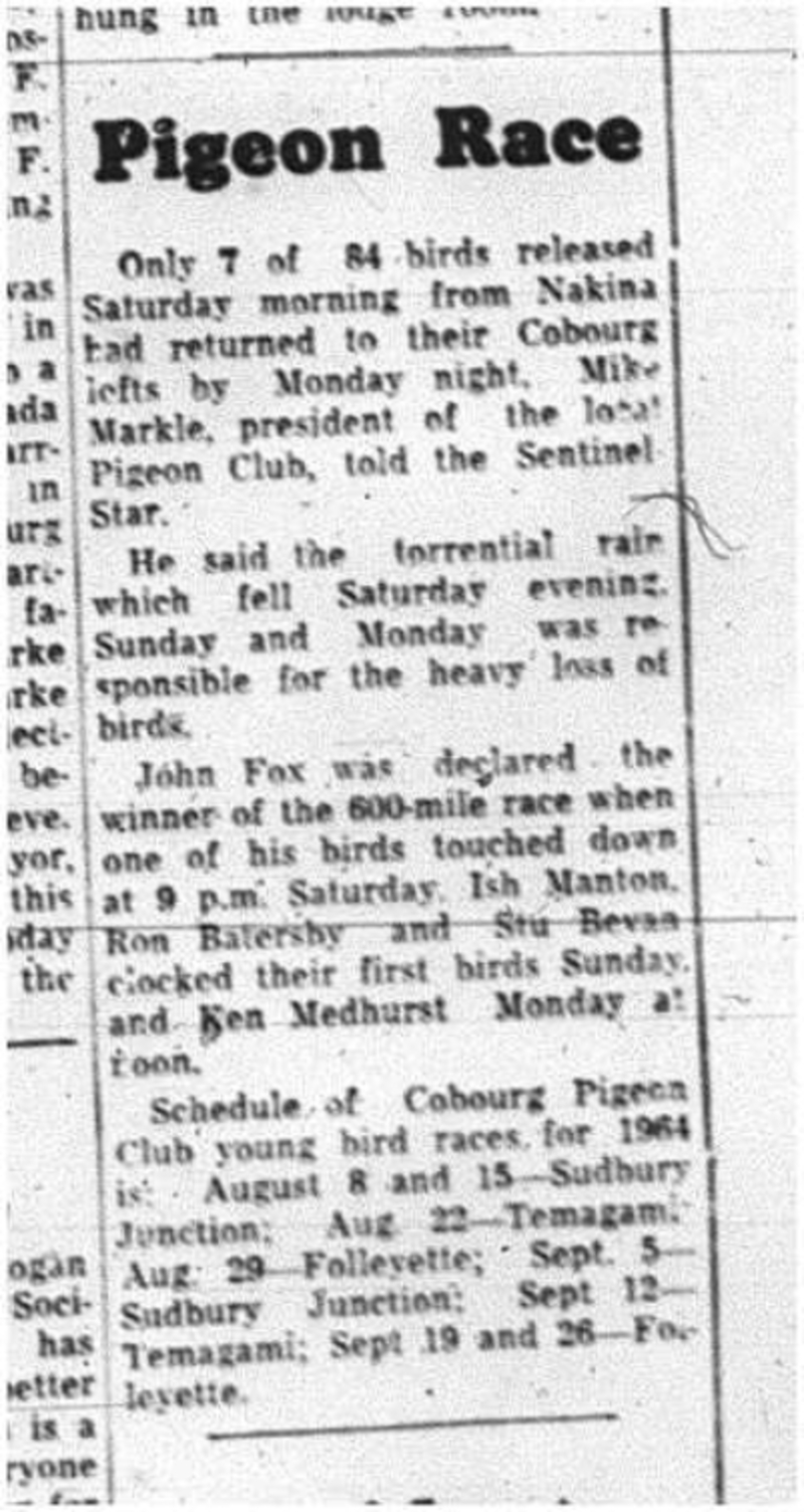 1964-07-22 Pigeon Racing - Mens - Cobourg Piegeon Club