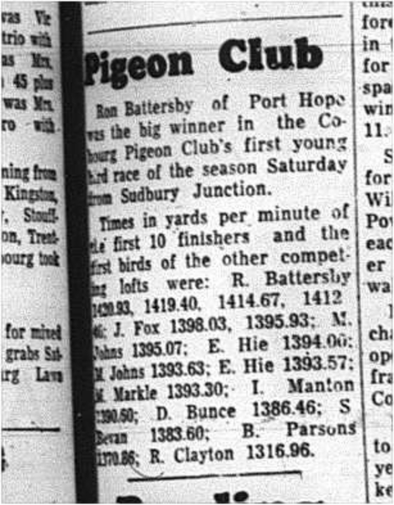 1964-08-12  Pigeon Racing - Mens - Cobourg Pigeon Club
