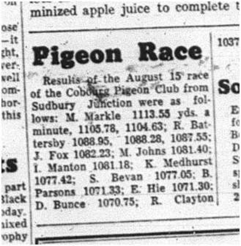 1964-08-26 Pigeon Racing - Mens - Cobourg Pigeon Club
