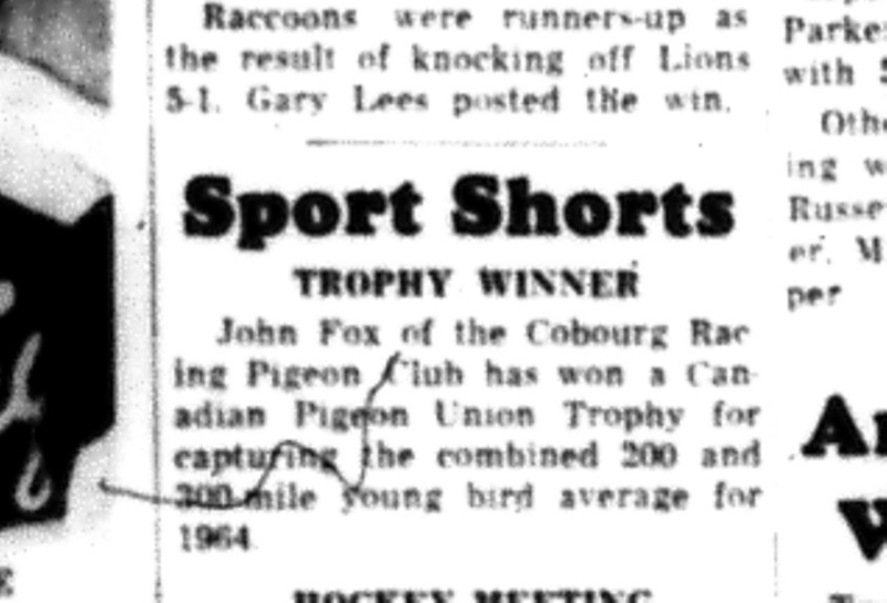 1964-09-02 Pigeon Racing - Mens - Cobourg Racing Pigeon Club - Sport Shorts - John Fox