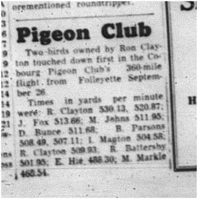 1964-10-07 Pigeon Racing - Cobourg Pigeon Club - Ron Clayton