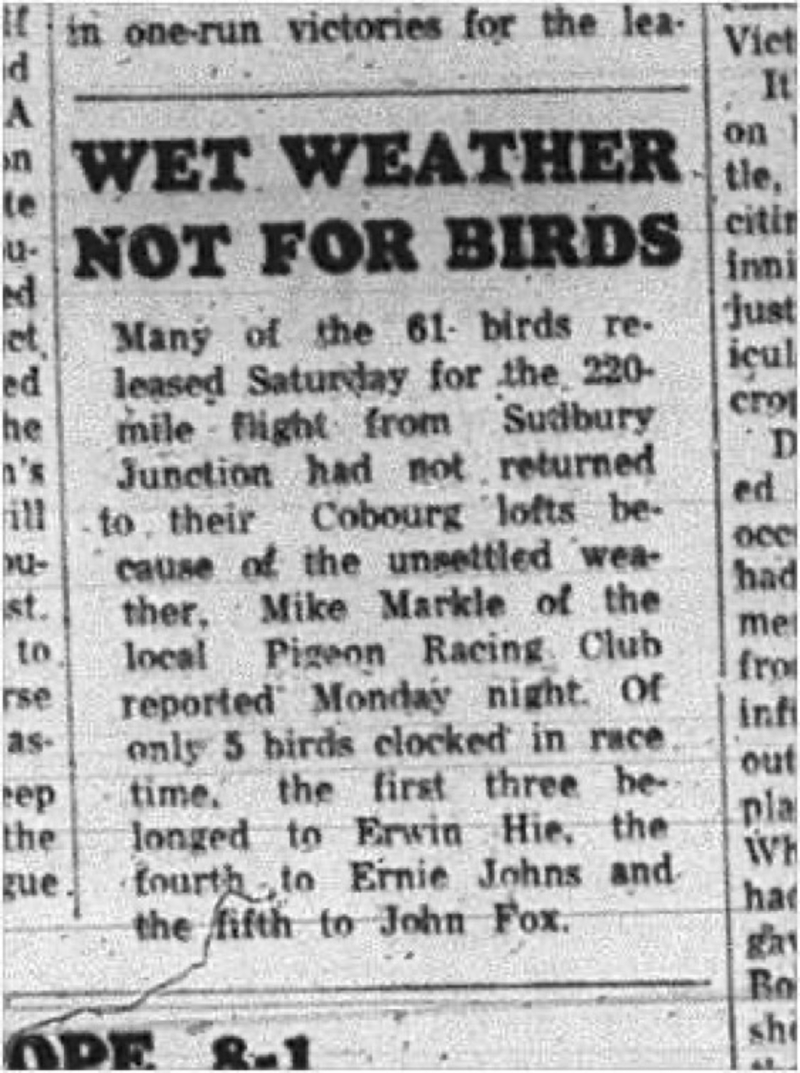1965-08-11 Pigeon Racing - Men - Cobourg Pigeon Club - Sudbury Junction - 220 Mile Flight