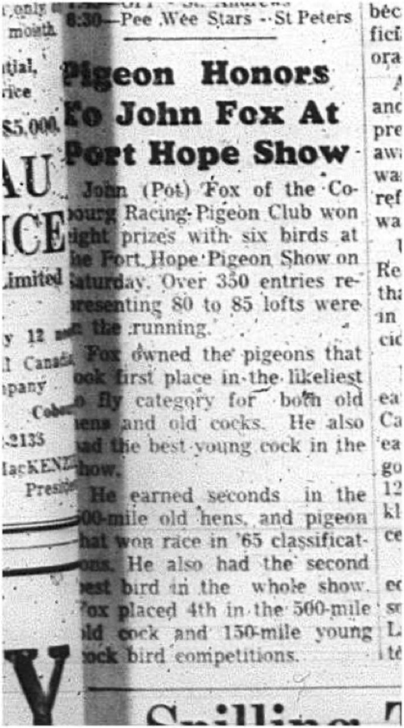 1966-01-19 Pigeon Racing - Mens -Cobourg Pigeon Racing Club-John Fox