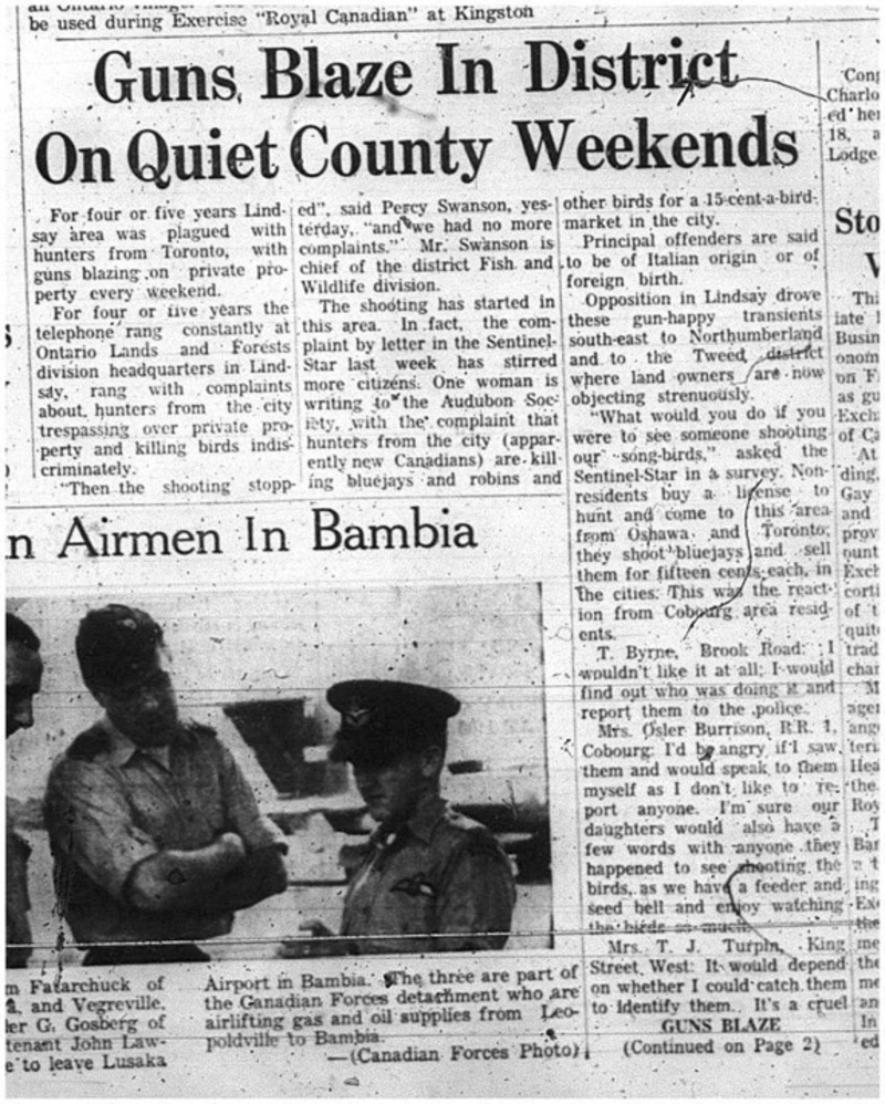 1966-01-26 Shooting -Men -Lindsay Area 1