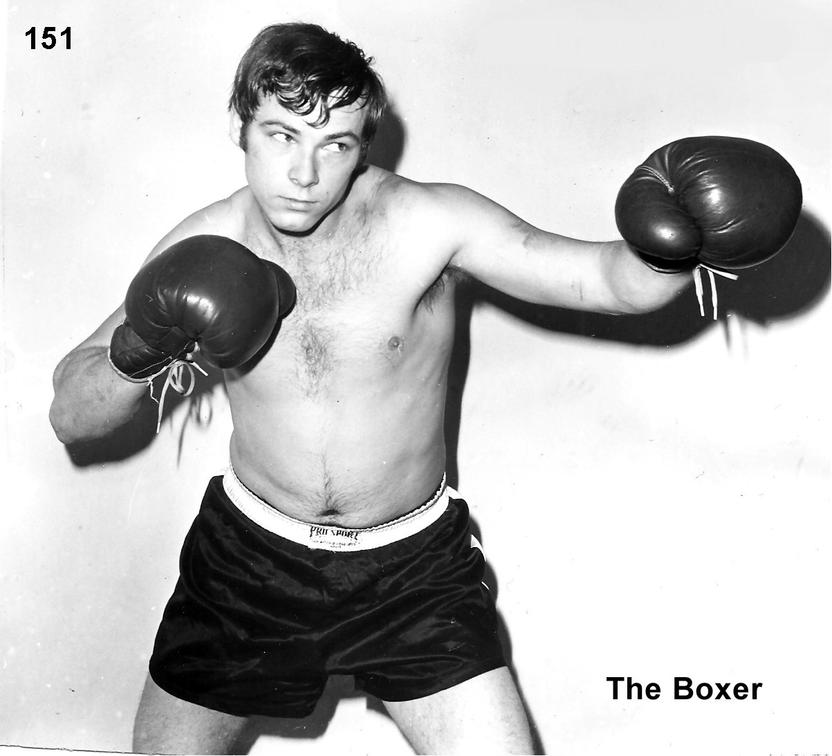 No. 151 - The Boxer