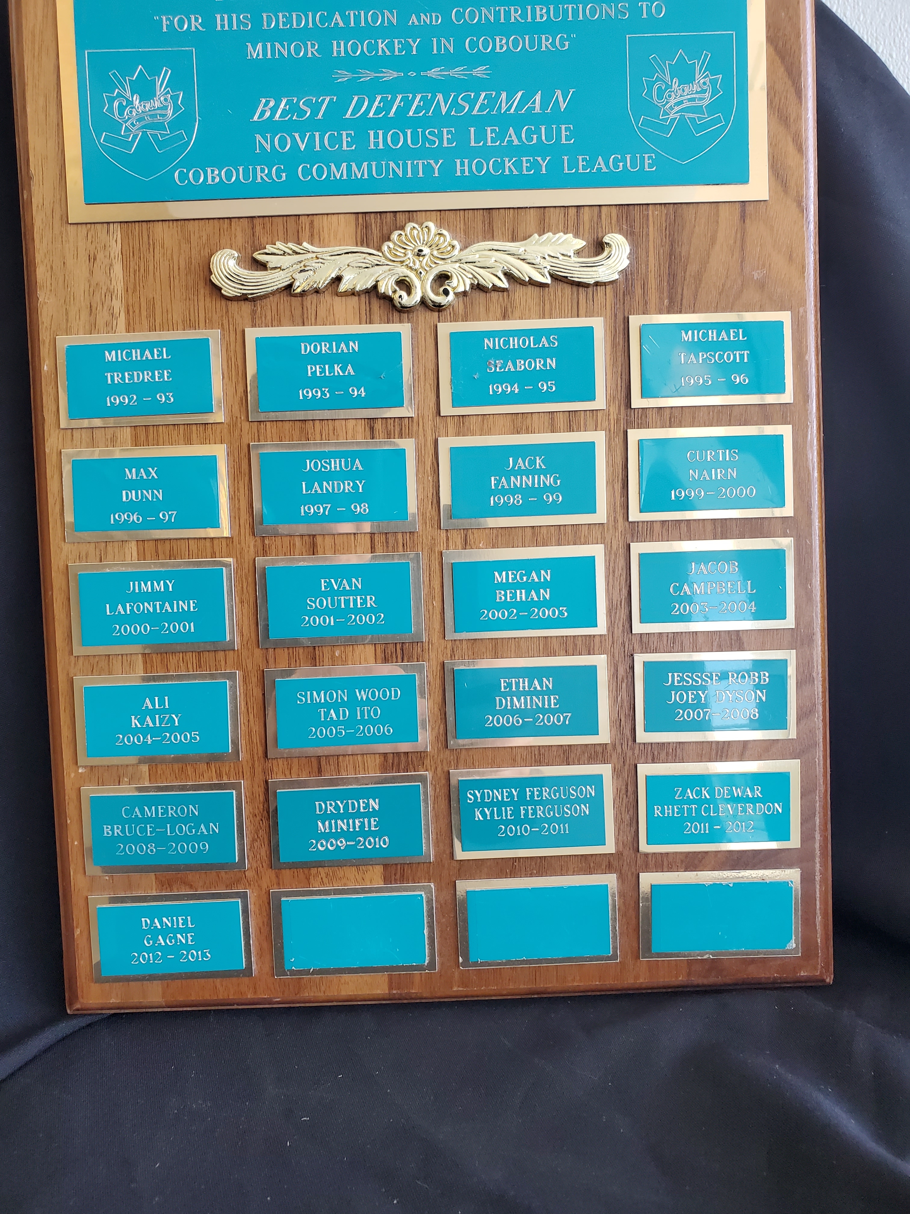 T&P-15 Best Defenceman Plaque – Novice House League