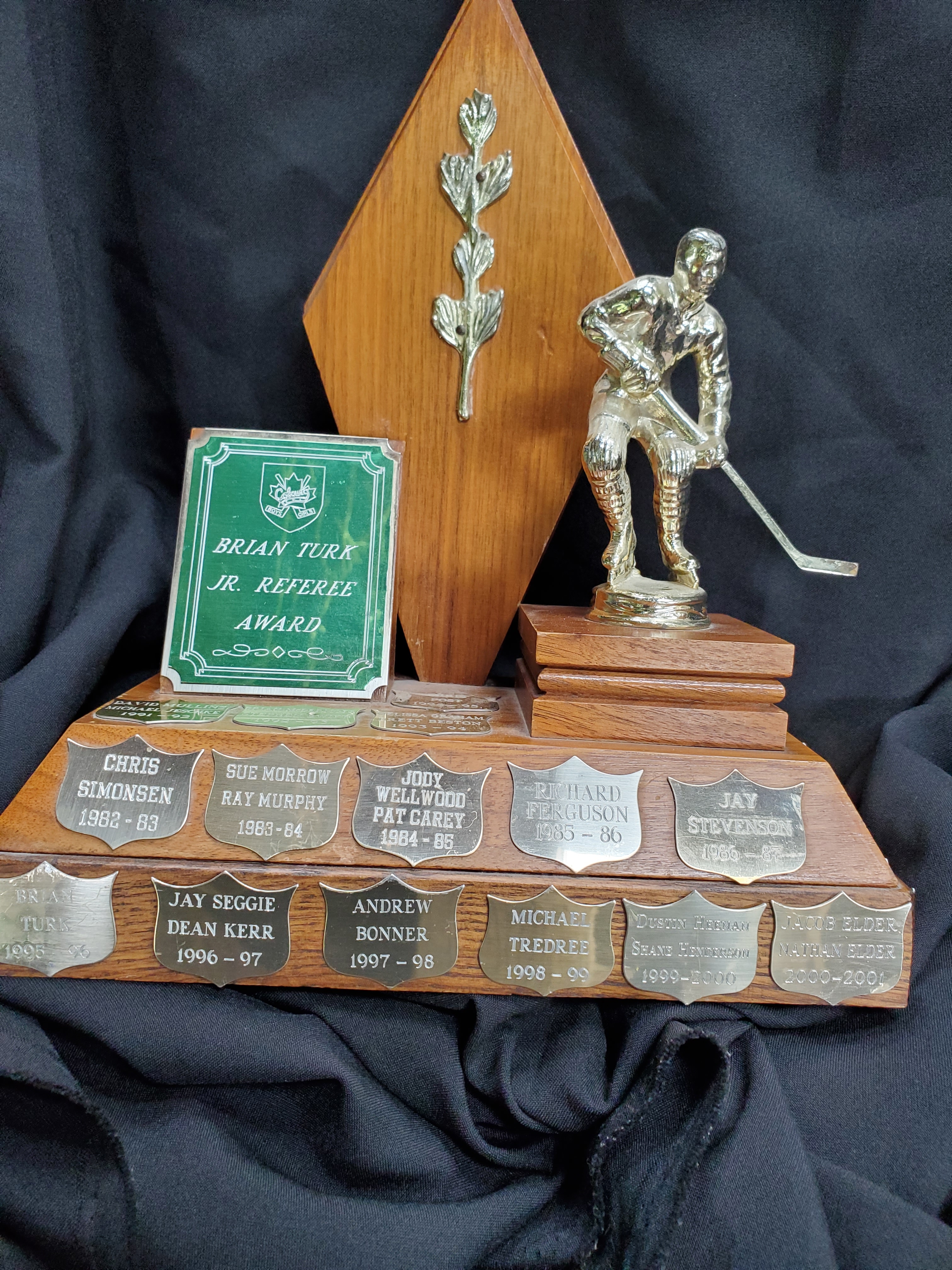T&P-18 Brian Turk Award-Jr Referee
