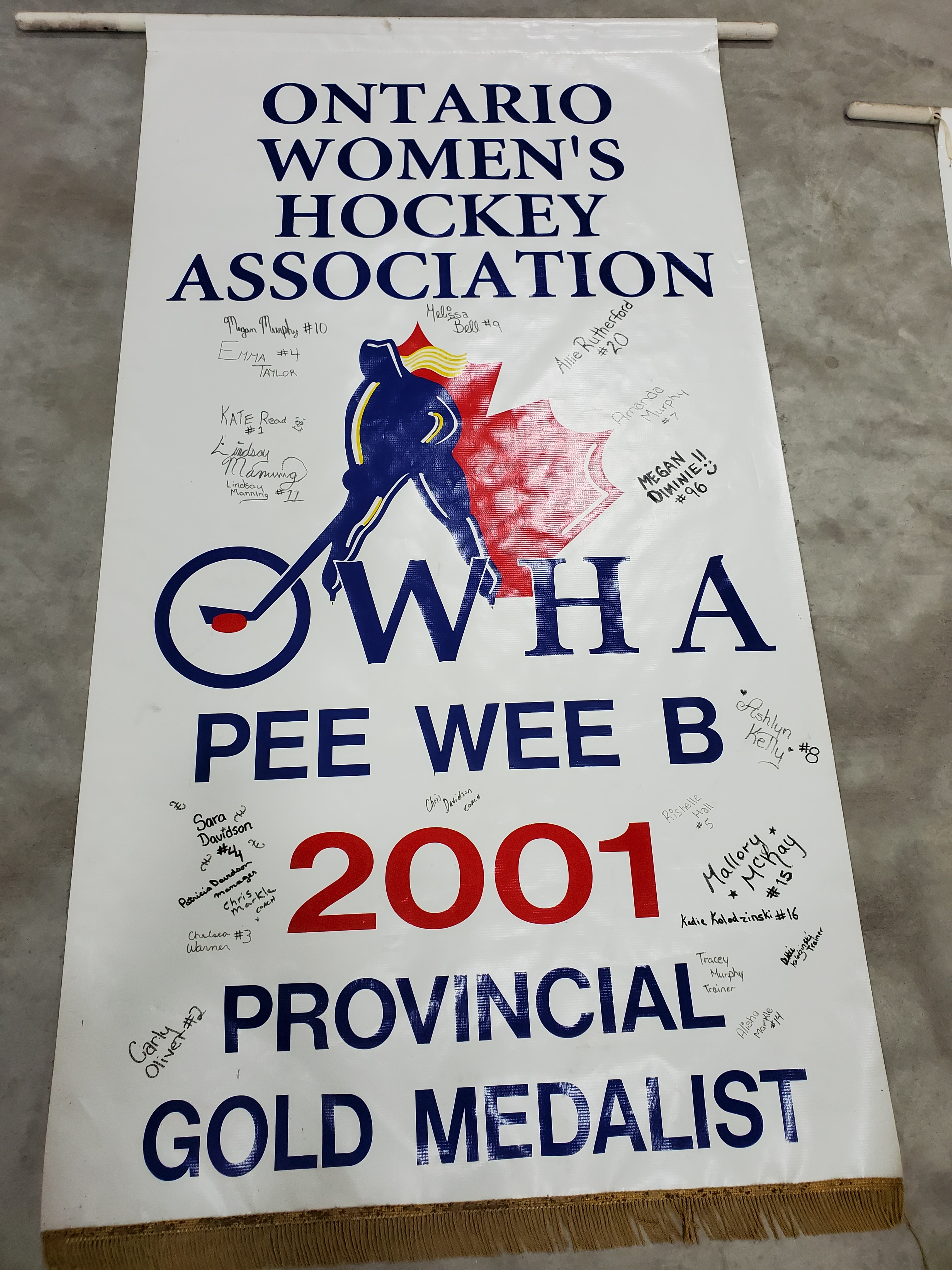 Banners-OWHA-10