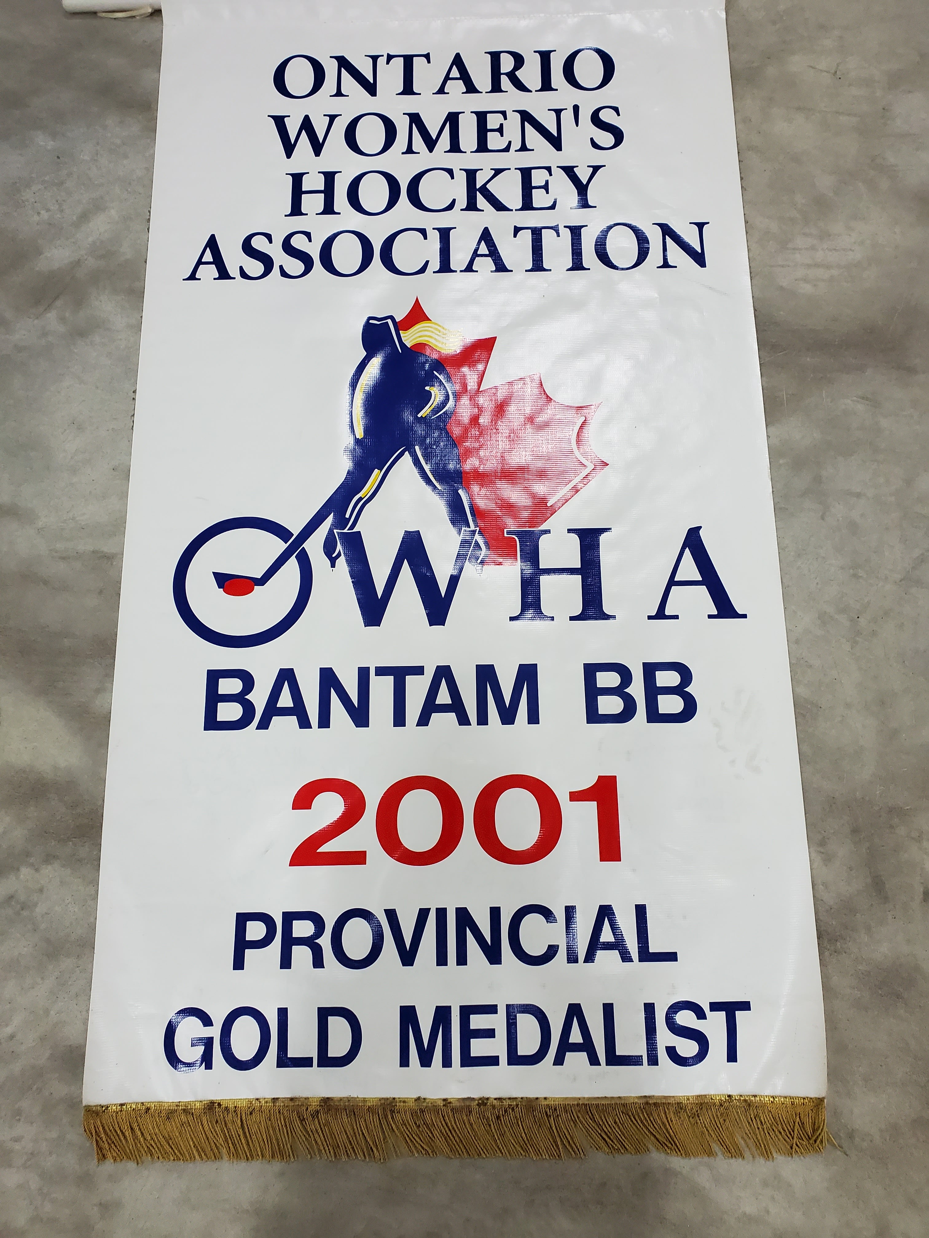 Banners-OWHA-11
