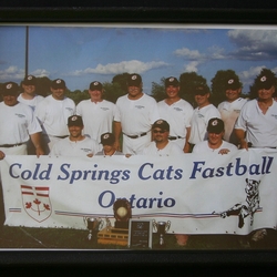 Cold Spring Cats