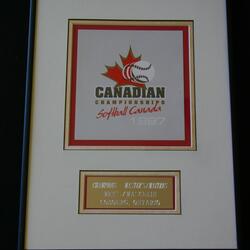 1997 Cold Springs Cats plaque under glass