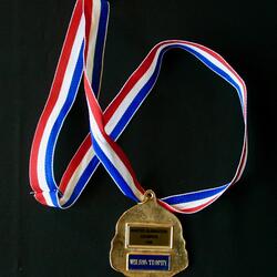 1996 Cold Springs Cats master champion medallion