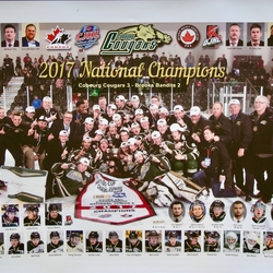 RBC Cup 2017 winners