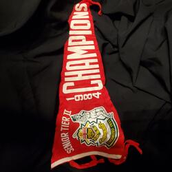 Angels pennant