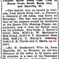 1902-06-23 Pigeon Racing -Fastest race on record-TO Star