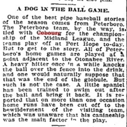 1905-09-23 Baseball -Dog retrieves game ball from water in Ptbo