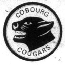 1st Cougar Logo