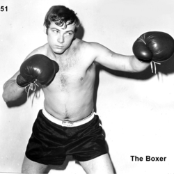 No. 151 - The Boxer