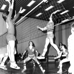 No. 186 volleyball