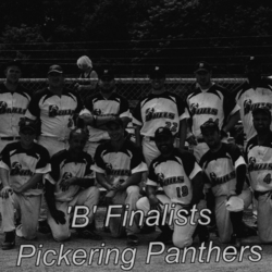 Softball -Grafton Tournament -2012 -Mens-B Runner Up-Pickering Panthers