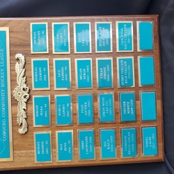 T&P-15 Best Defenceman Plaque – Novice House League