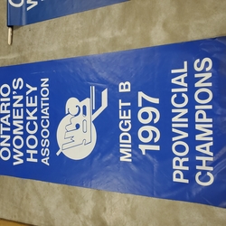 Banners-OWHA-01