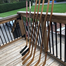 TL016-Awards- Young Canada Night- signed sticks