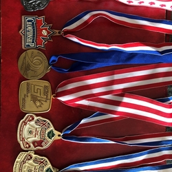 TL015-Awards- various medals