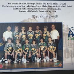 PA014-Basketball- Lynx