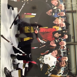 TL080-Puck drop